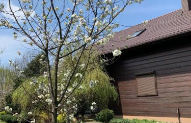 BESKIDIUM - uroczy dom Brenna - Foto 3