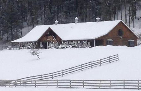 Fantastic Secluded Rental for a Large Group Getaway near East Branch, New York - Photo 6