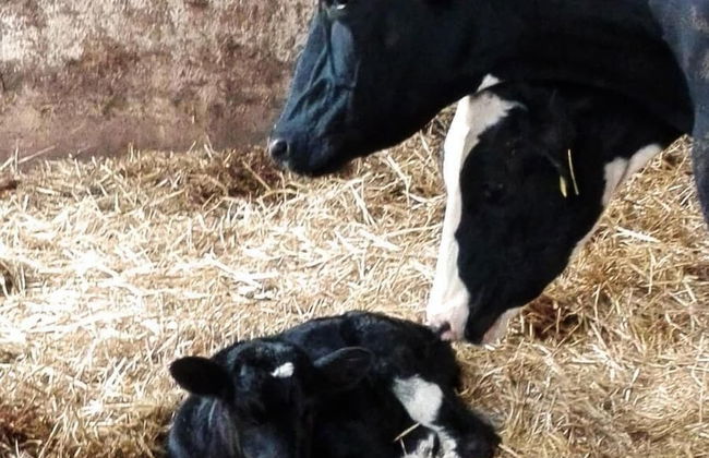 Agriturismo Casa Fibbianello - Foto 15