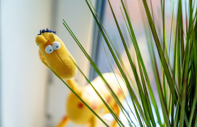 Ferienhaus in Tating - Foto 43