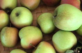 Helpens Hof - Foto 42