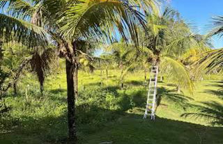 Sítio magia do Sol - Foto 18