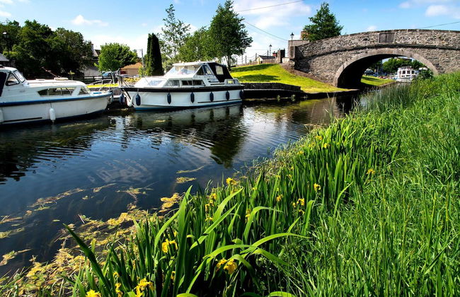 Primrose Cottage - Foto 21