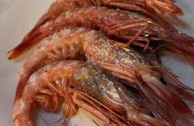 Don Juan, 99 - Photo 41