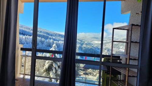 STUDIO plein sud "Les Arolles" Balcon de VILLARD DE LANS - Foto 2