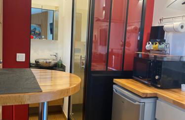 Paris-Zénith-bienvenue-terrasse-Netflix - Foto 11