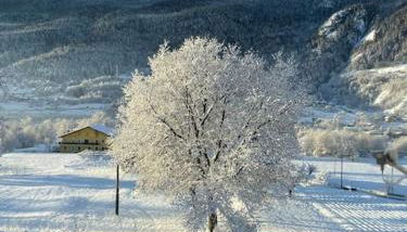 La Casetta di Bice al Villair di Morgex - Foto 2