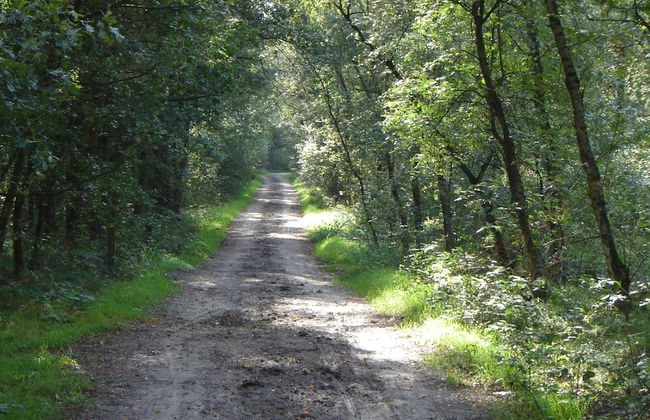 Kempen Comfort With Sauna & Tub - Foto 51