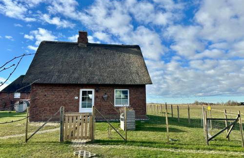 Haus Treibsel - Foto 1