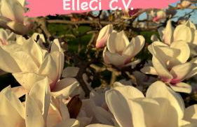 ElleCi Casa Vacanze - Photo 27