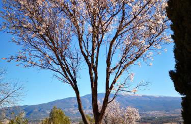 La Bastide du Limon - Foto 65