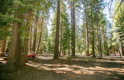 Cozy Tahoe Donner Retreat - Foto 45