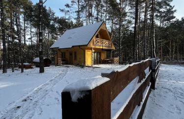 Domek wypoczynkowy Sosenka z sauną i jacuzzi - Foto 6
