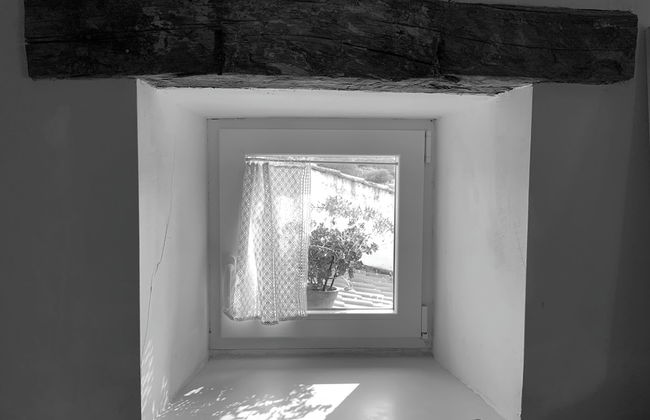 La Grulla Dorada - Foto 13