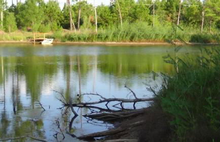 Forest Lake House - Foto 40