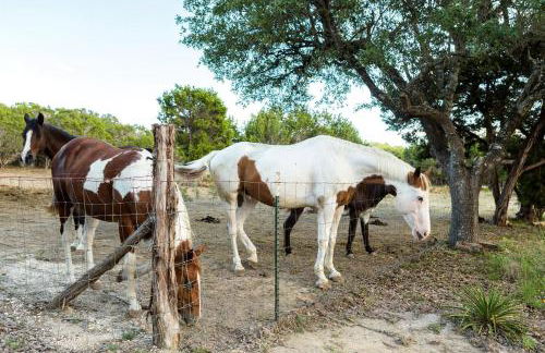 Awesome Texas Ranch Holiday for the Best Weekend Trips from Austin - Foto 46