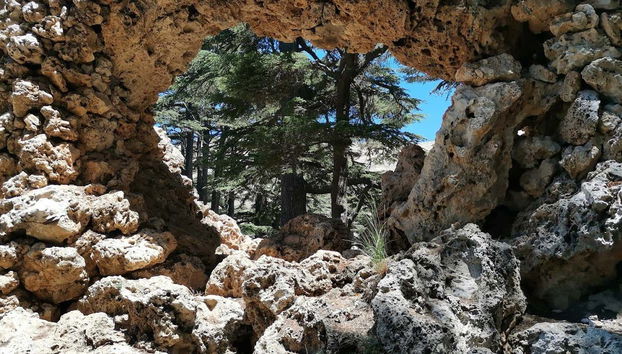 Formações rochosas no bosque dos Cedros de Deus