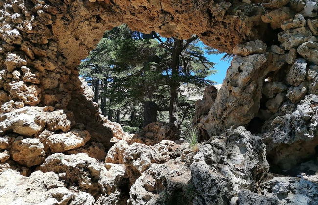 Excursión al Valle de Qadisha y el bosque de los Cedros de Dios - Foto 2