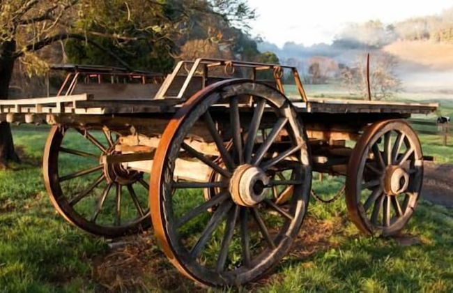 Toorongo Valley Estate - Foto 37