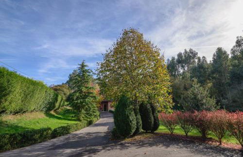 La Casina de Punticiella - Foto 8