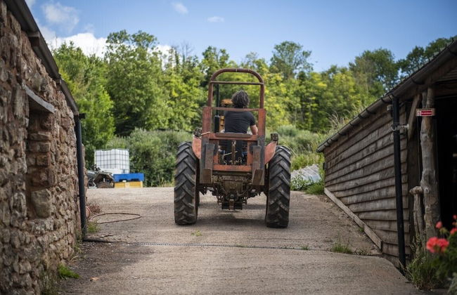 Torre Cider Farm - Foto 56