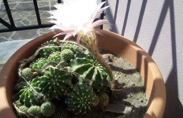 Magdalini Studio - Foto 33