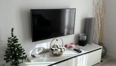 Apartamento Vega - Foto 4