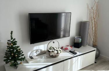 Apartamento Vega - Foto 4