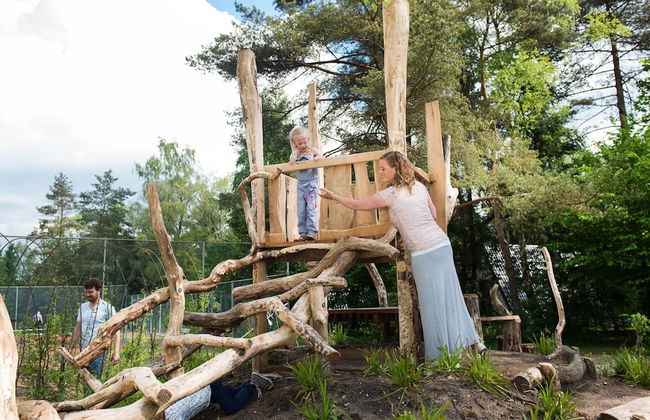 Forest-edge Family Bungalow - Foto 27