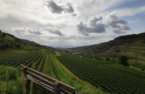 Weingut & Straußwirtschaft Vogel - Foto 64