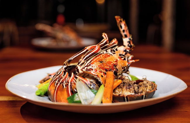 Club Mango - Photo 33