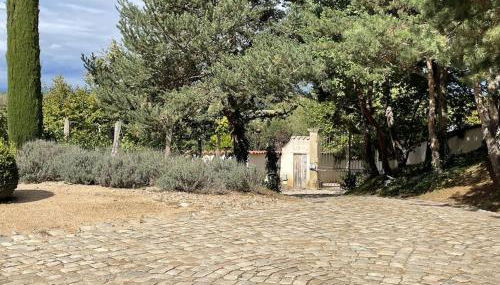 On dirait LE SUD - Foto 5