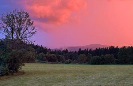 Villa Barka - Foto 39