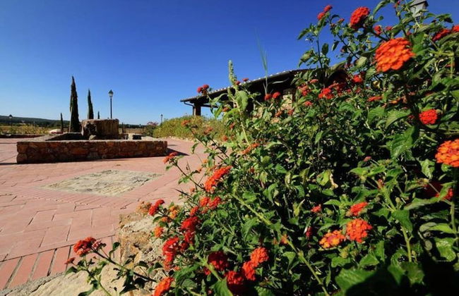 House in Tuscany Near Baratti Beach - Foto 18
