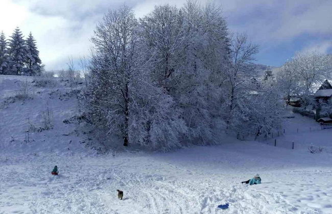 Holiday Home Nada - Foto 36