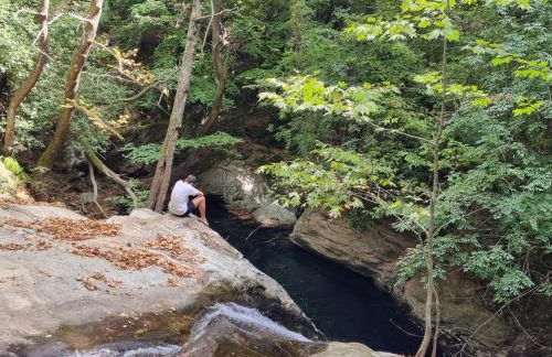 Moses Villa - Foto 50