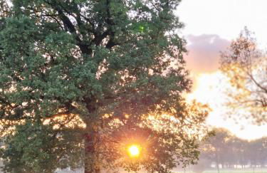 Märchenhaft urlauben auf dem Alpakahof - Foto 74