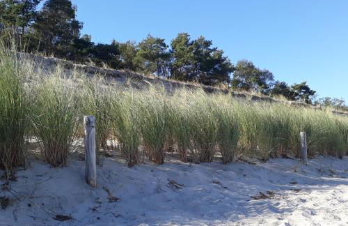 Traumblick und Komfort - lichtdurchflutete 85 qm Wohnung nahe Südstrand Göhren inklusive Schwimmbad und Sauna im AHOI Sellin - Foto 56