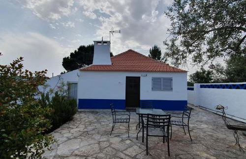 Baranca Stima - Foto 18