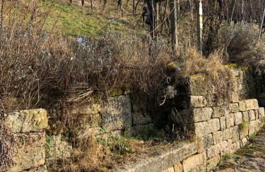 "Unter der Yburg" in 71394 Kernen - Stetten - Foto 22