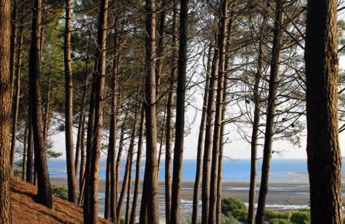 Résidence de Tourisme Vacances Bleues Villa Régina - Foto 52