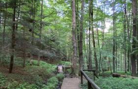 Domki pod Kiczerą w Baligrodzie, Bieszczady - Foto 30