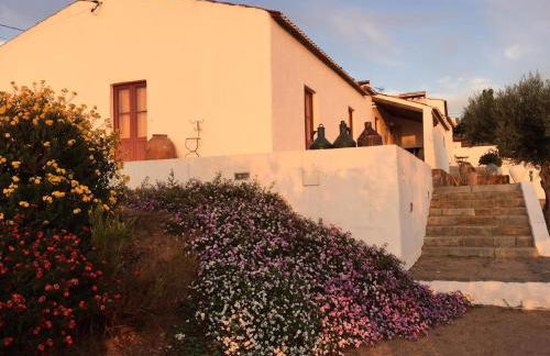 Casa Do Alto Da Eira - Foto 49