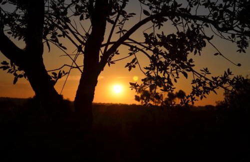 Monte da Ameixa Country House - Foto 29