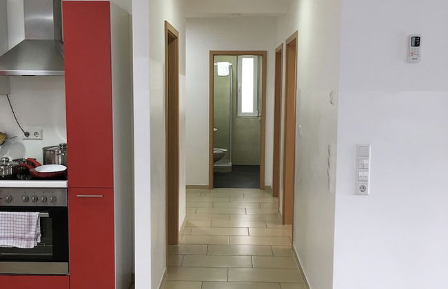 Sahara Falcon - Foto 42