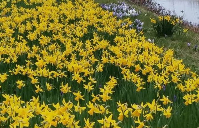 Summer Melody Comfortable Holiday Residence - Foto 25