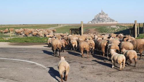 L'Hirondelle - Foto 2