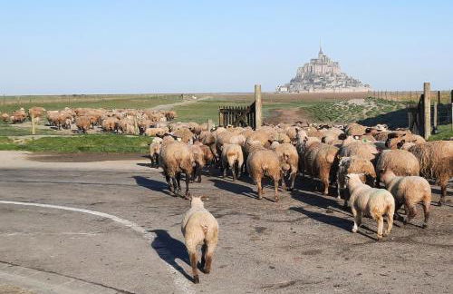 L'Hirondelle - Foto 2