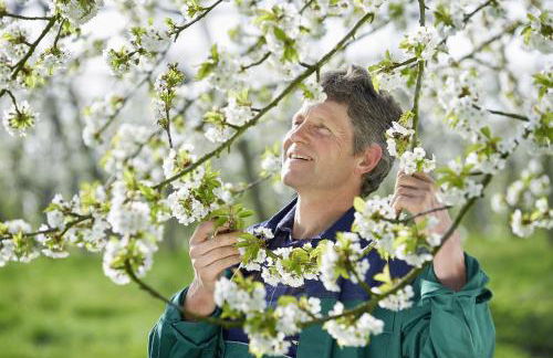 Winzerhof Wörner - Foto 9