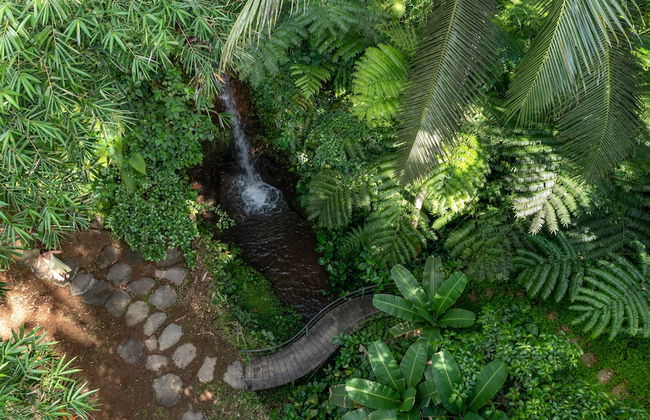 Sacred Canyon Ubud by GenuineHost - Foto 50